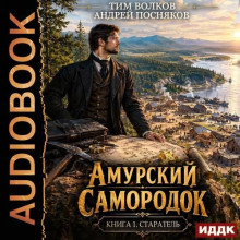 Амурский самородок. Книга 1. Старатель / Андрей Посняков, Тим Волков (2026) MP3